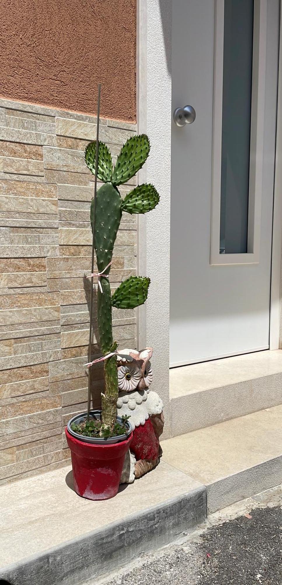 باري Caramel House & Villa المظهر الخارجي الصورة