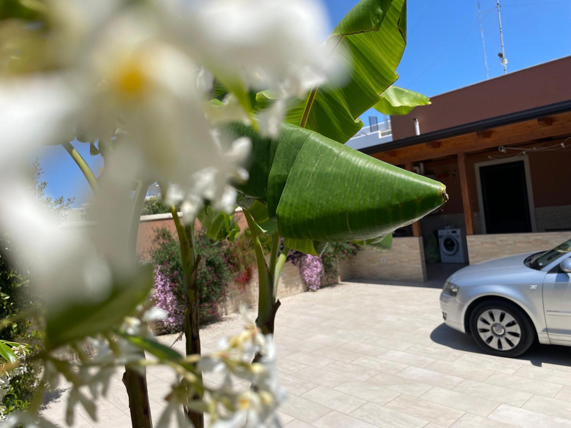 باري Caramel House & Villa المظهر الخارجي الصورة